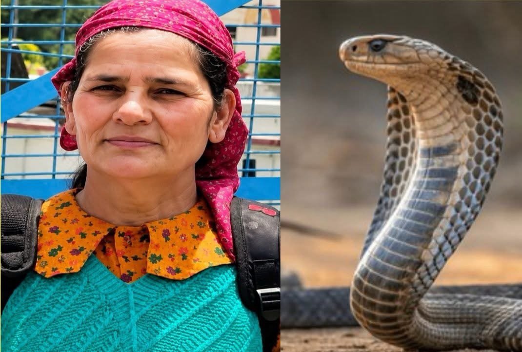 सर्पदंश से महिला की मौत, 6 महीने पहले पति का हुआ था निधन
