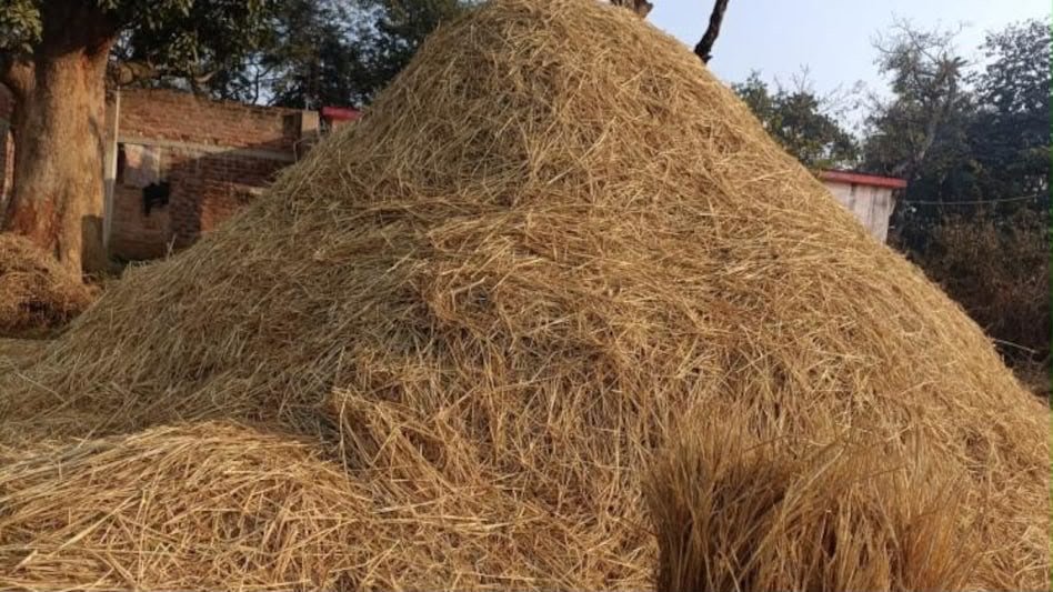 अब पराली से बनेंगी सड़कें: प्रदूषण घटेगा, किसानों की बढ़ेगी आय, भारत को मिली नई बायो-बाइंडर तकनीक