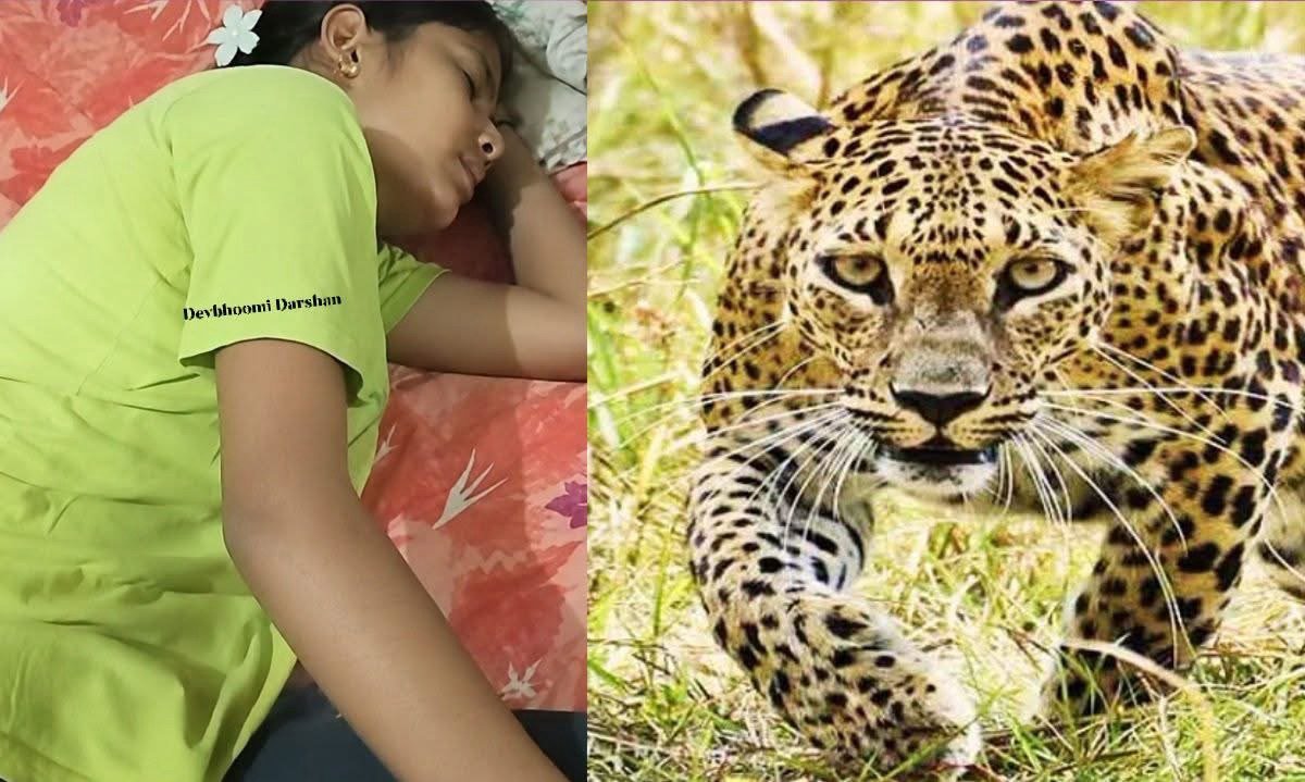 अल्मोड़ा में गुलदार से दराती लेकर भिड़ी युवती, अदम्य साहस से बचाई अपनी जान