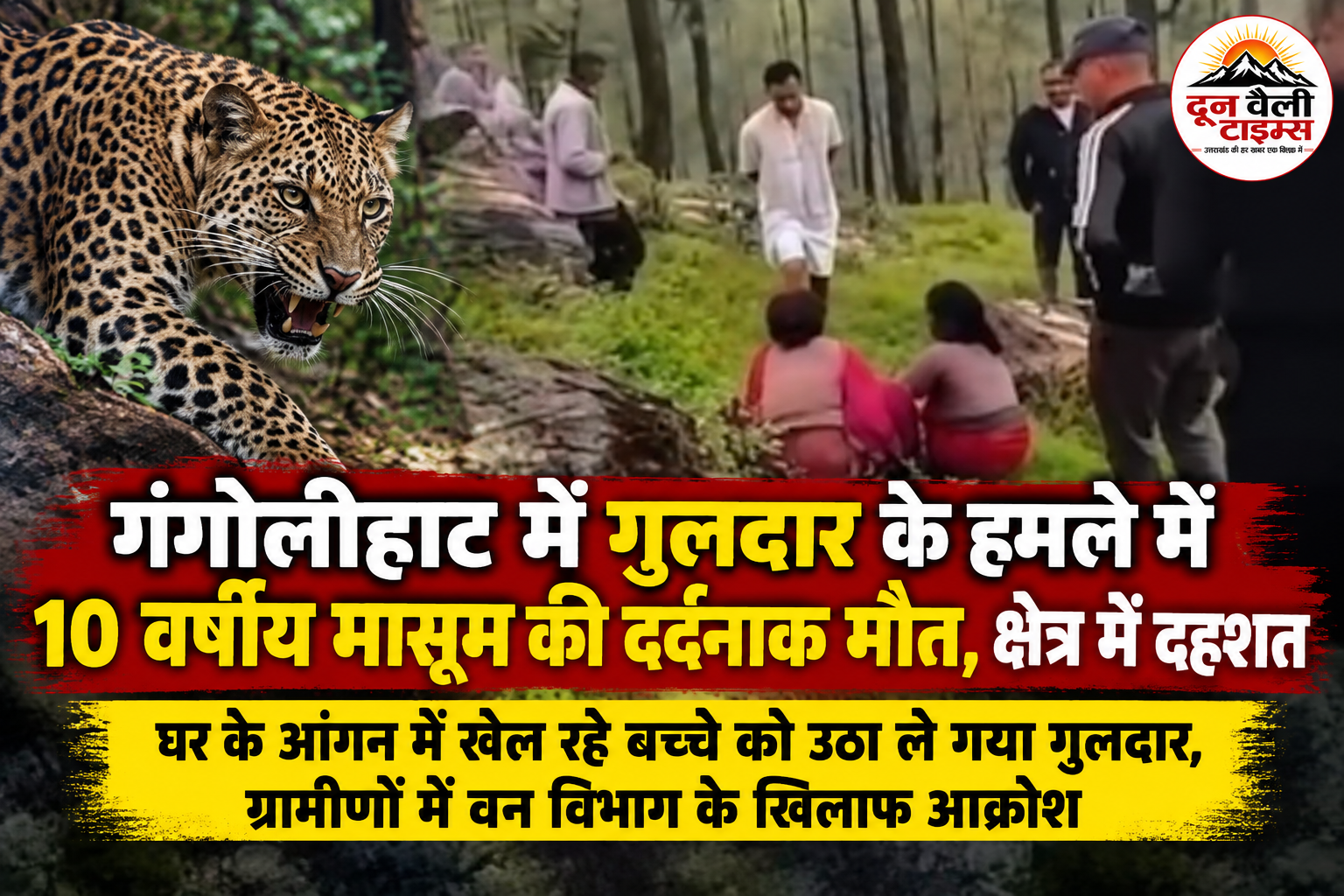 गंगोलीहाट में गुलदार के हमले में 10 वर्षीय मासूम की दर्दनाक मौत, क्षेत्र में दहशत